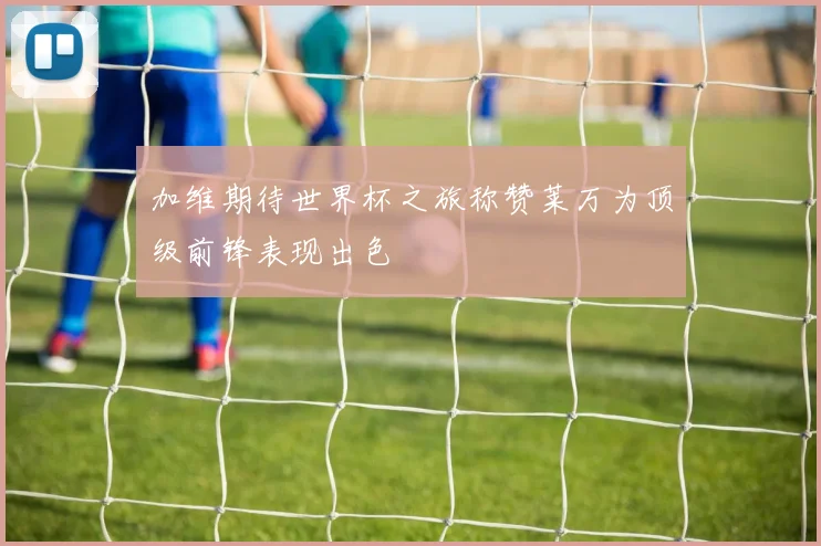 加维期待世界杯之旅称赞莱万为顶级前锋表现出色